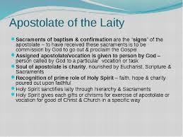 apostolate of the laity