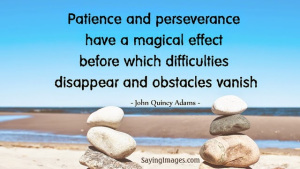 patience and perseverance