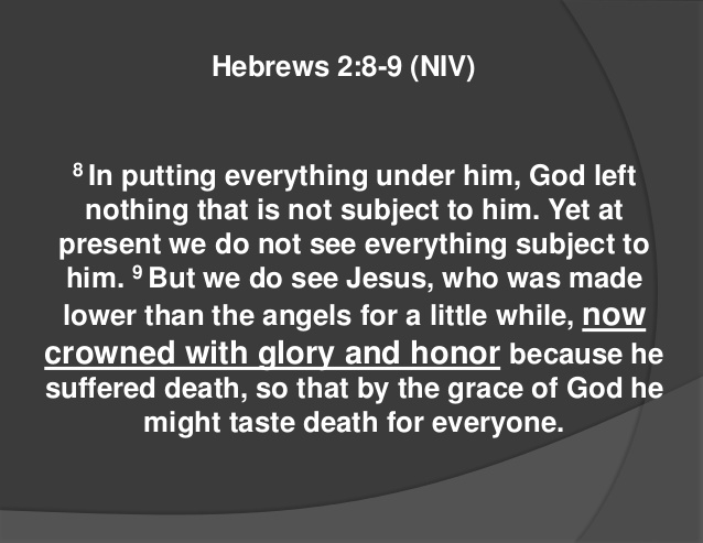 Hebrews 2 8 9